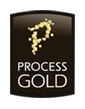 Logo der Firma ProcessGold